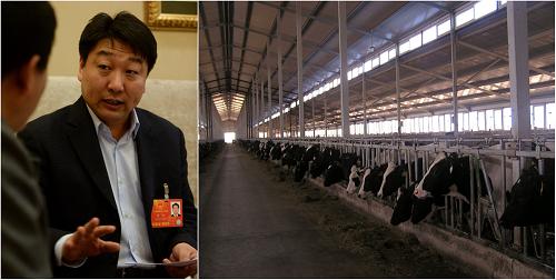 董辉代表建议:奶牛饲养应向标准化牧场模式快