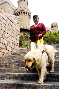 Guide dog training centre established in Dalian