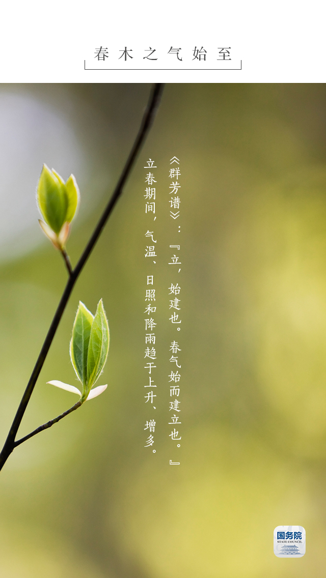 15星王合击游戏截图3