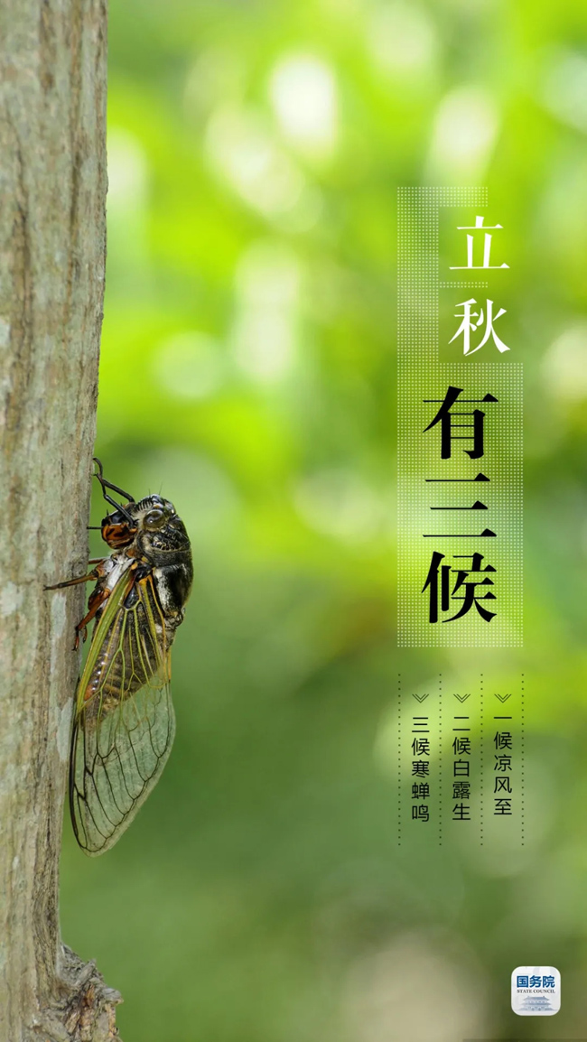 今日立秋 养生须知
