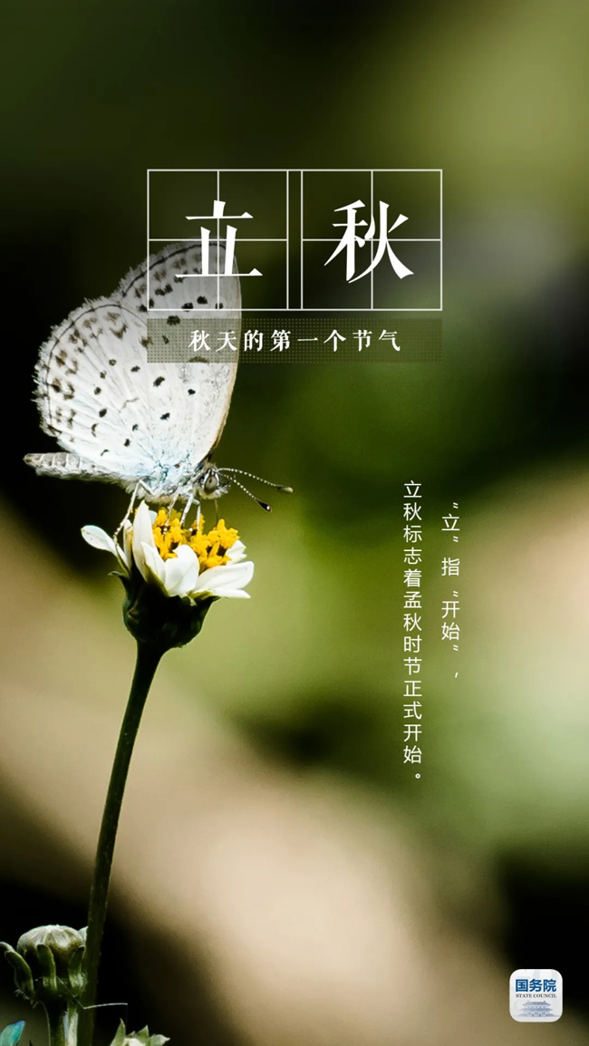 今日立秋 养生须知