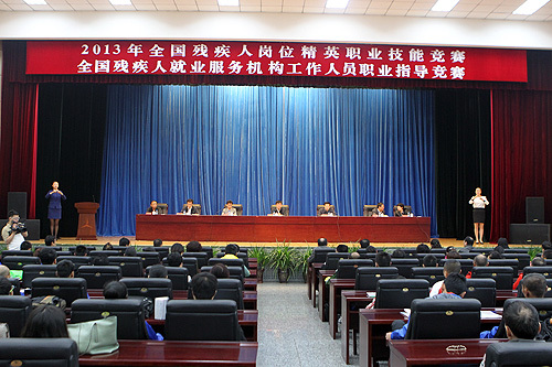 中国残疾人人口普查_...残疾人人口基础数据库管理系统 综合信息门户(2)