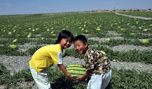 7月23日,宁夏中卫市沙坡头区兴仁镇两名小朋友抱起一个硒砂瓜