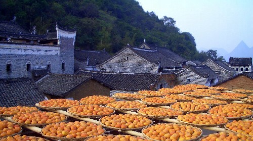 广西恭城古民居古色古香引人入胜