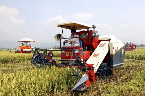 上半年广西农业生产保持平稳增长