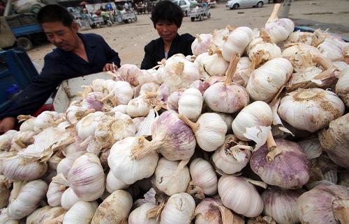 全国大蒜价格同比降幅超一成