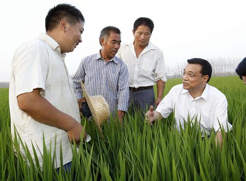 8月20日至22日,中共中央政治局常委、国务院副总理李克强在江苏省考察。这是8月21日,李克强在连云港市东海县周徐村粮食高产示范科研项目基地向农民询问水稻种植管护、技术服务等情况。新华社记者 刘建生 摄