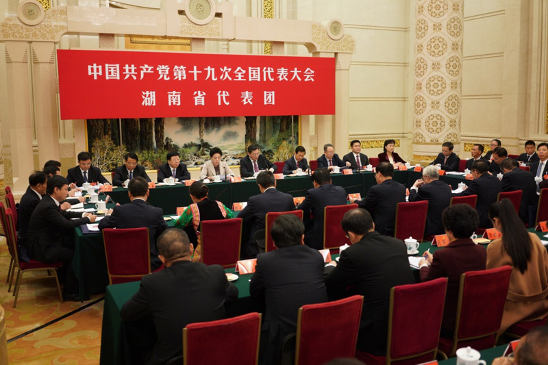 这是湖南省代表团在讨论. 新华社记者 王建华 摄
