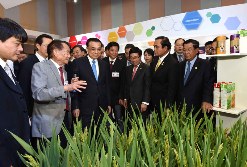 这是李克强同湄公河国家领导人参观杂交水稻品种。