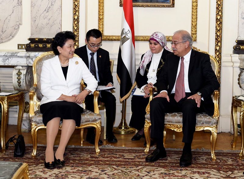 3月27日，在埃及首都开罗，中国国务院副总理刘延东（前左）会见埃及总理伊斯梅尔。新华社记者 赵丁喆 摄