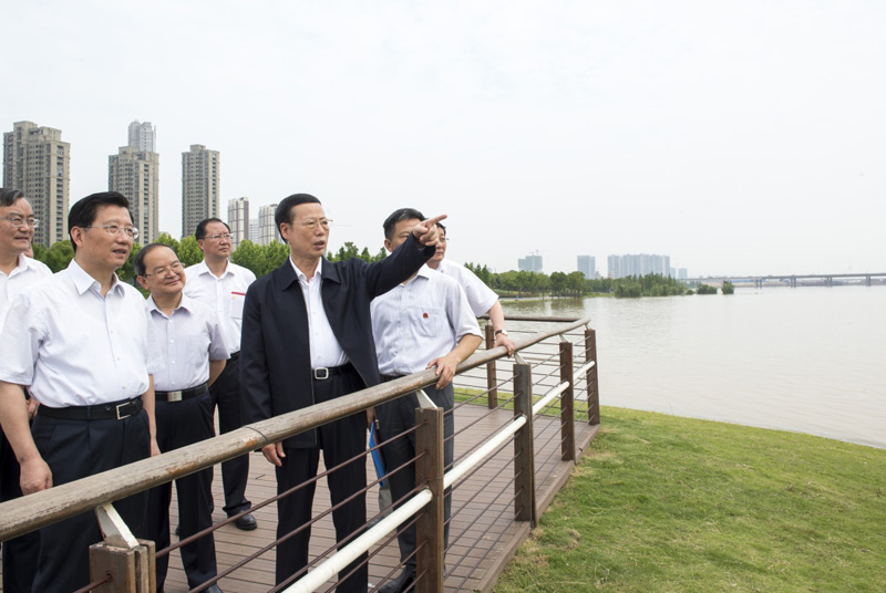这是5月23日，张高丽在江西考察赣江生态环境整治示范工程。新华社记者 王晔 摄