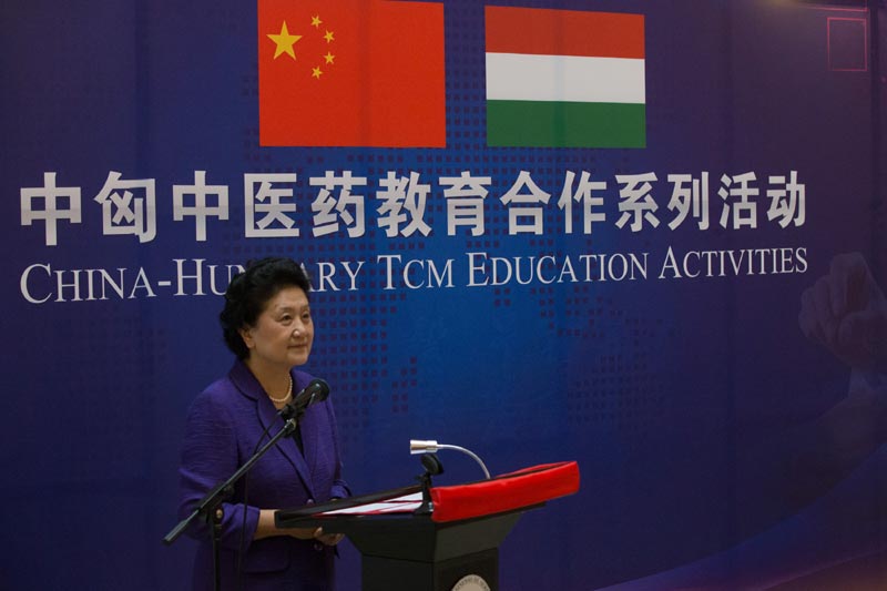 6月18日，在匈牙利布达佩斯，中国国务院副总理刘延东出席中匈中医药教育合作系列活动时讲话。