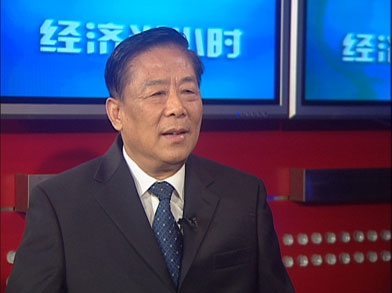 王太华就《文化产业振兴规划》接受央视记者采