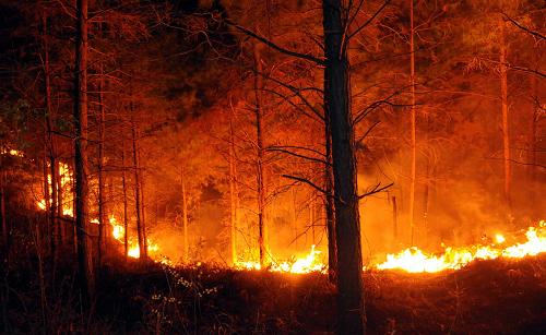 贵州龙里县国家森林公园发生森林大火