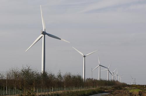 上海大力开发风电能源