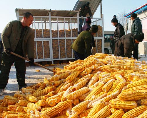 吉林省积极推广科学储粮方式减少粮食损耗