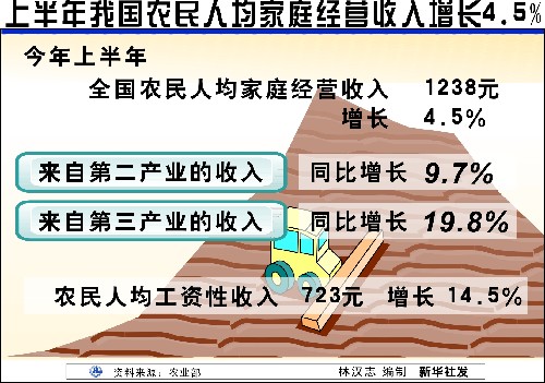 华西村人均收入_山东省农民人均收入