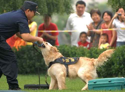 海关北京缉毒犬基地举行市民开放日活动