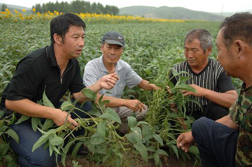 我国农村贫困人口_农村贫困人口实现