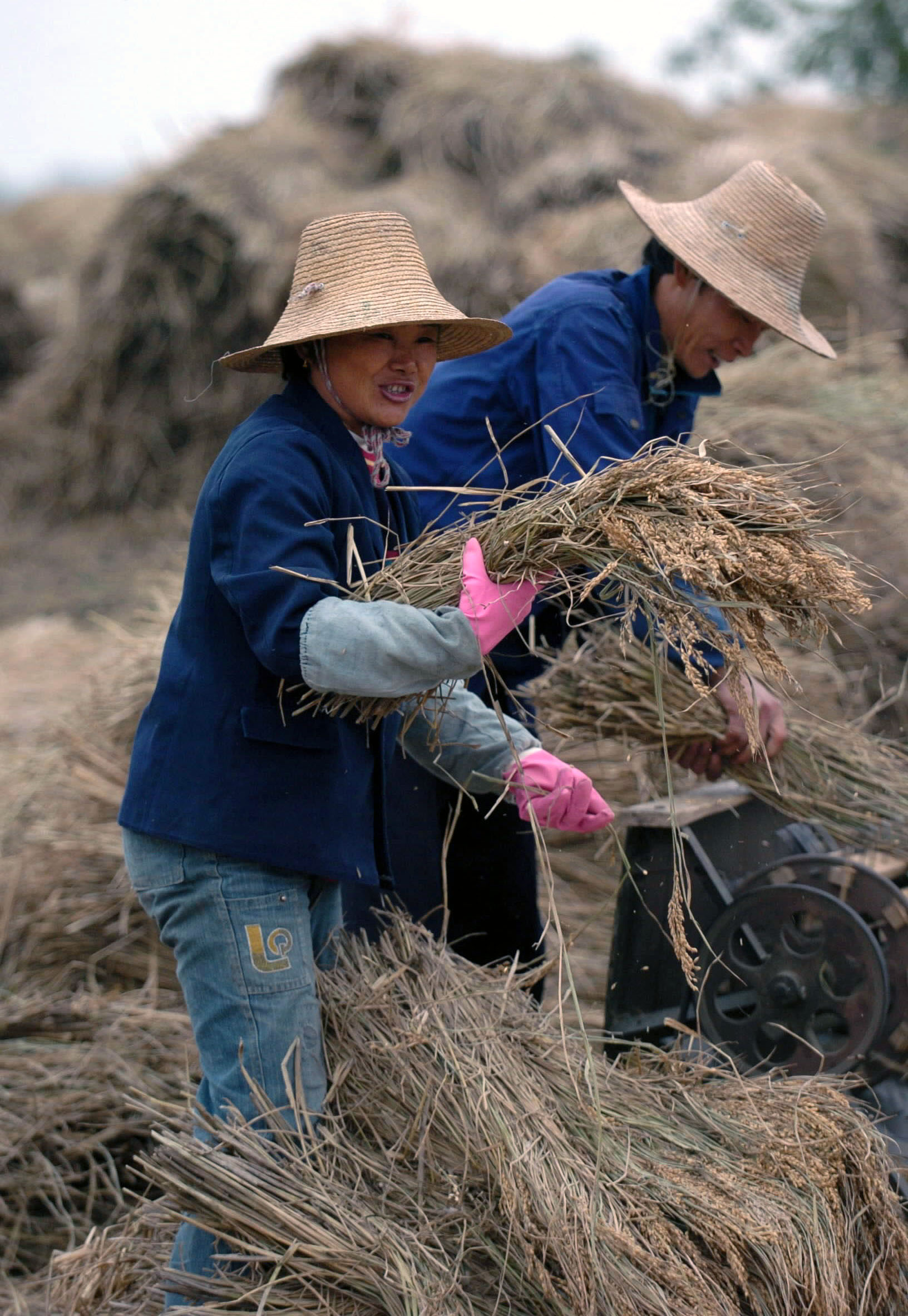 人禽流感患者所在地群众生产生活秩序井然