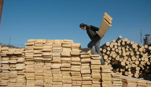 中俄木材贸易出现回暖迹象 - 新闻中心 - 九正建