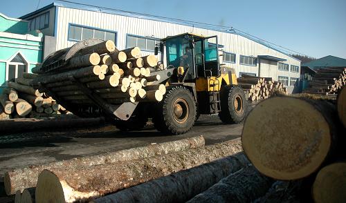 中俄木材贸易出现回暖迹象