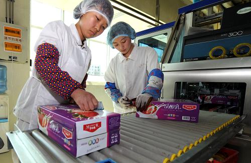 新疆奶业迎难而上求发展