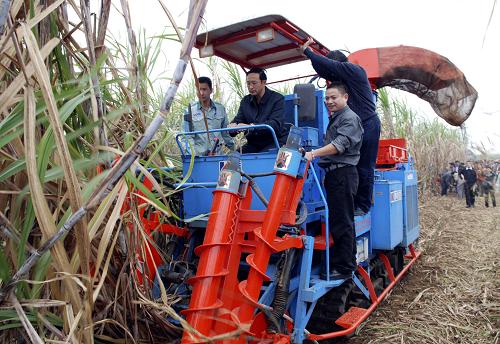 广西推广机械收割甘蔗