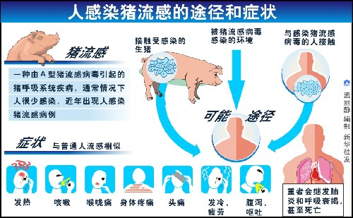 卫生部要求加强对人感染猪流感疫情的监测和报告