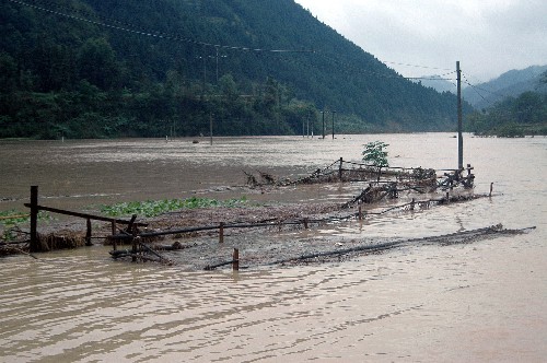贵州三穗暴雨 洪水淹没粮田