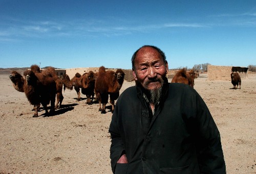 内蒙古阿拉善遭遇罕见旱灾