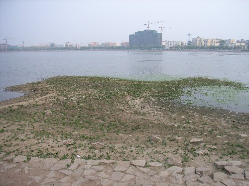 黑龙江省耕地受旱面积超过三分之一