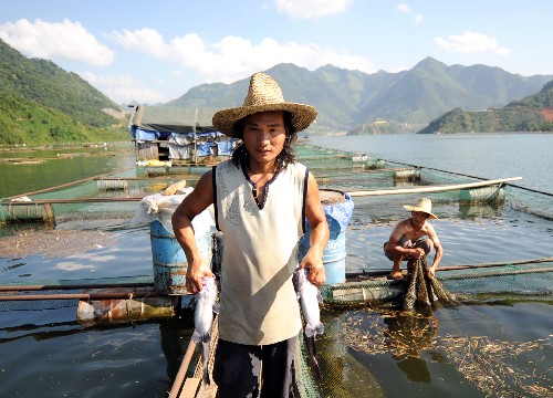 广西龙滩库区移民发展渔业谋致富 - 祁东新闻网