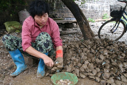 广东雷州半岛发生严重洪涝灾害给海水养殖造成