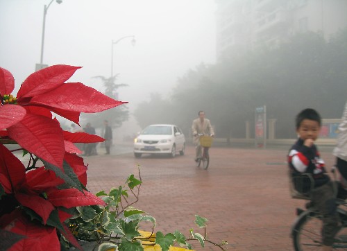 南京、成都出现浓雾天气