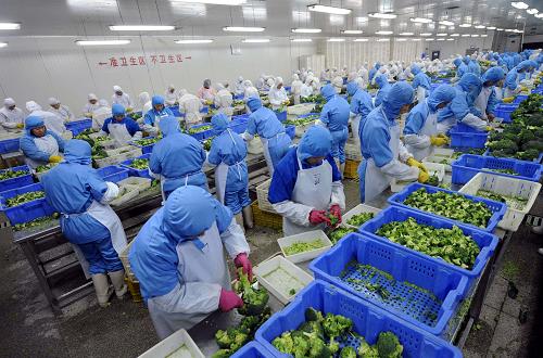 财政收入_日照地方财政收入