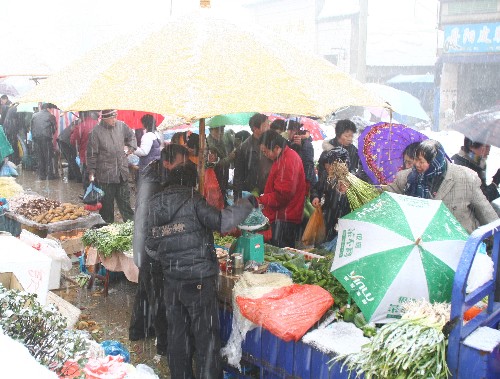 应对雪灾 江苏宜兴开设露天菜市场
