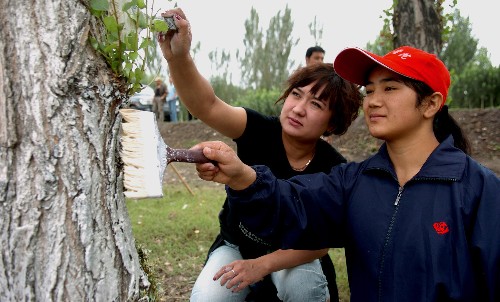 新疆伊犁大学生开展暑期社会实践活动