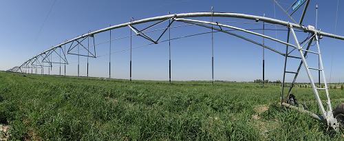 节水灌溉带来高效农业