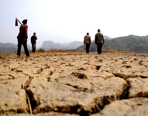 广西12个市出现旱情 部分地区达到特大干旱等
