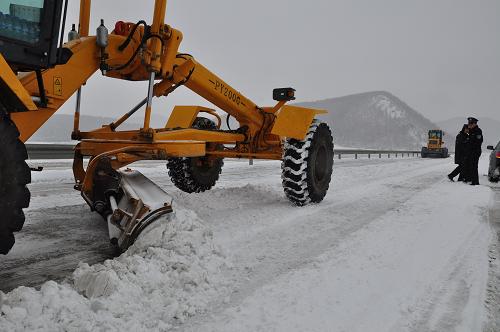 黑龙江大范围降雪 省内高速公路全部关闭