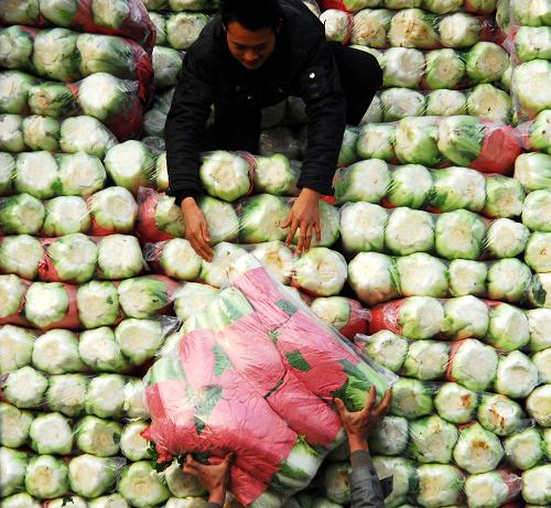 11月上旬36个城市18种蔬菜平均批发价格同比