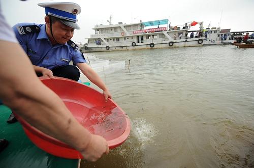 长江中下游五省放流鱼苗修复渔业资源