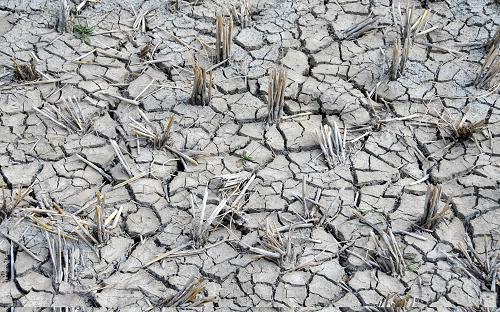 大旱致四川攀枝花近十万人饮水困难