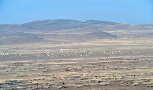 内蒙古中西部草原降水稀少气象干旱持续发展