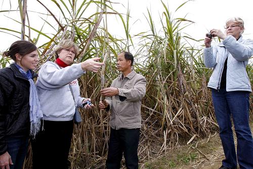 蔗糖产区可持续农业水补偿项目在广西启动