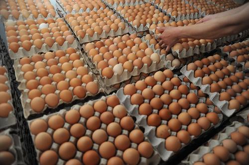 5月以后鸡蛋价格涨速明显加快