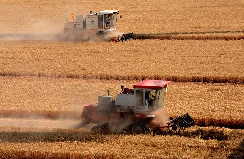 河南麦收过半 日收割进度超400万亩