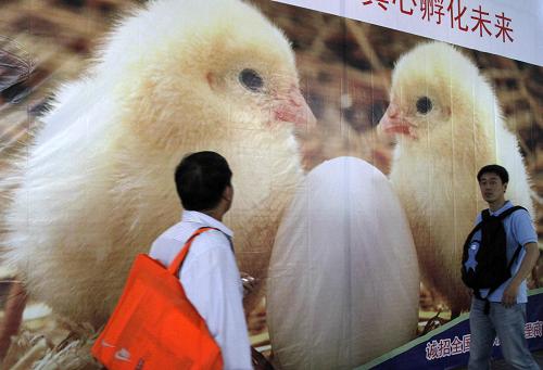 第十届中国畜牧业展览会在南京举行