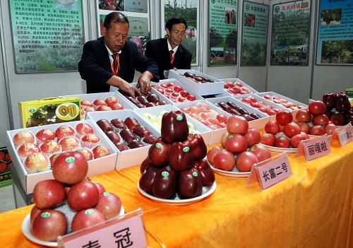 陕西洛川举办第五届国际苹果博览会